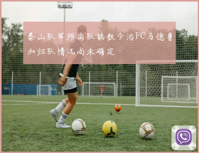 泰山队军师离队执教今治FC马德鲁加归队情况尚未确定